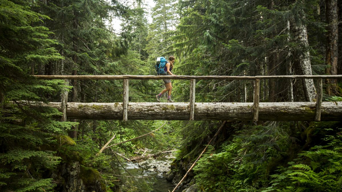 A woman hiking through the rainforest in Olympic National Park