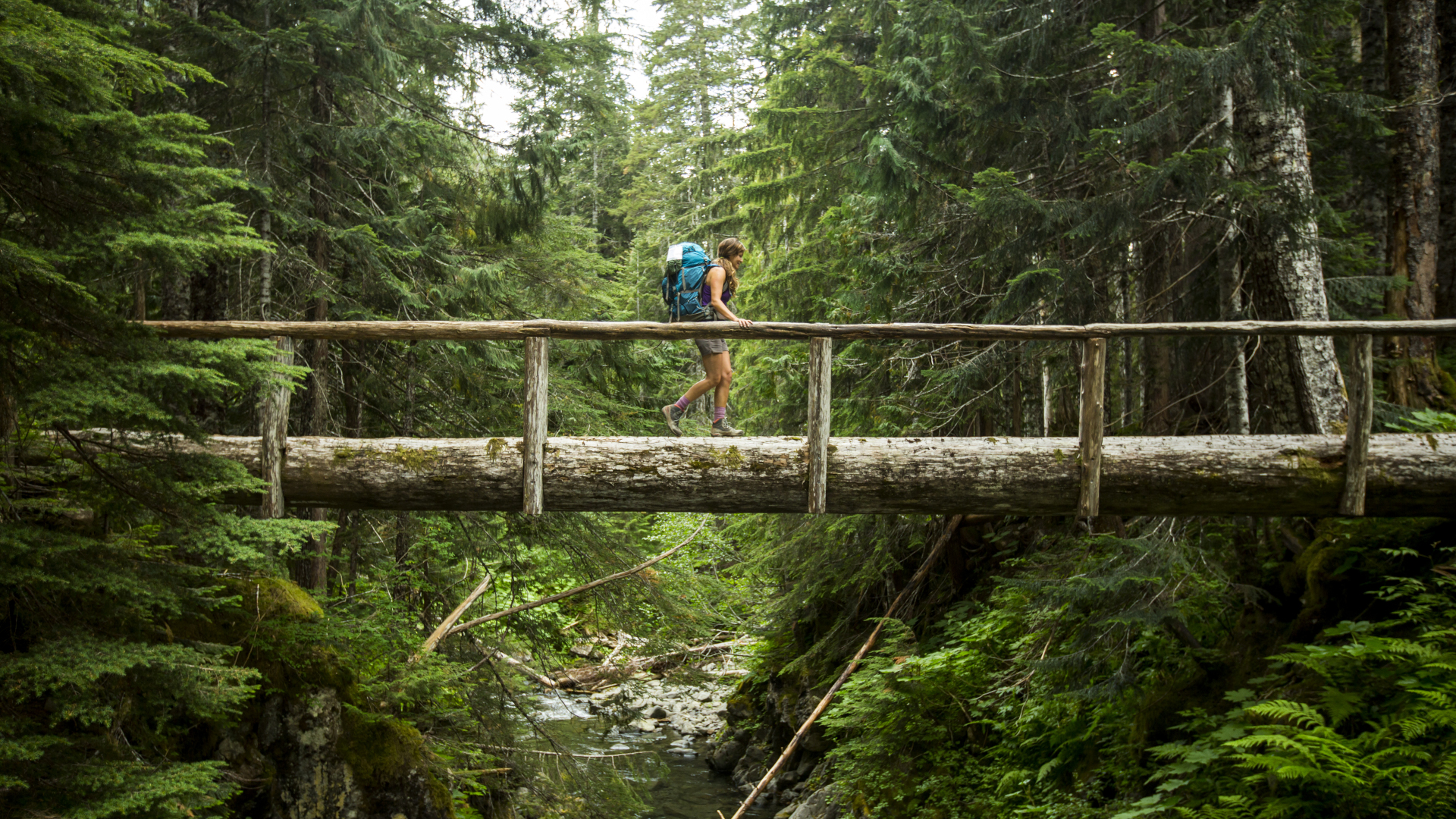 Olympic national park best hikes on sale