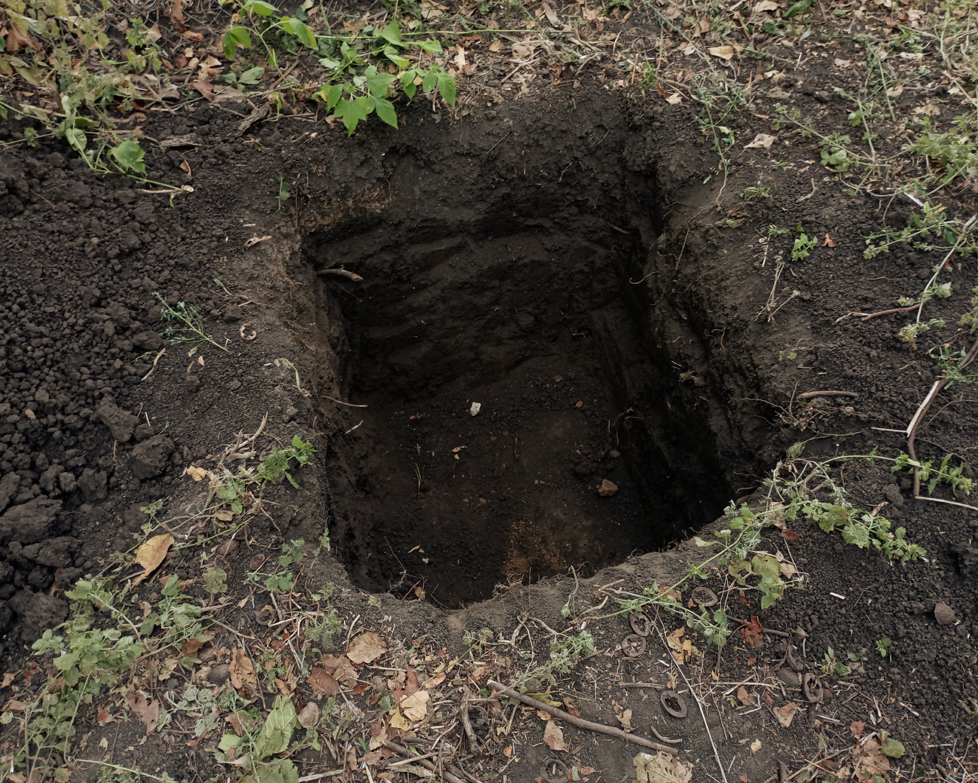 Hole dug in ground for melon pit composting