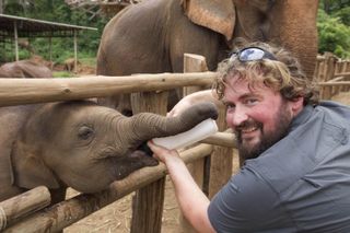 In Elephant Hospital season 2 Conservationist Paul O’Donoghue gets to work!