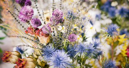 How to dry flowers – for everlasting blooms