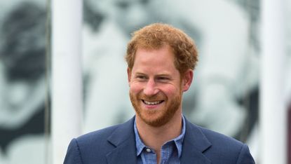 Prince Harry With Dogs