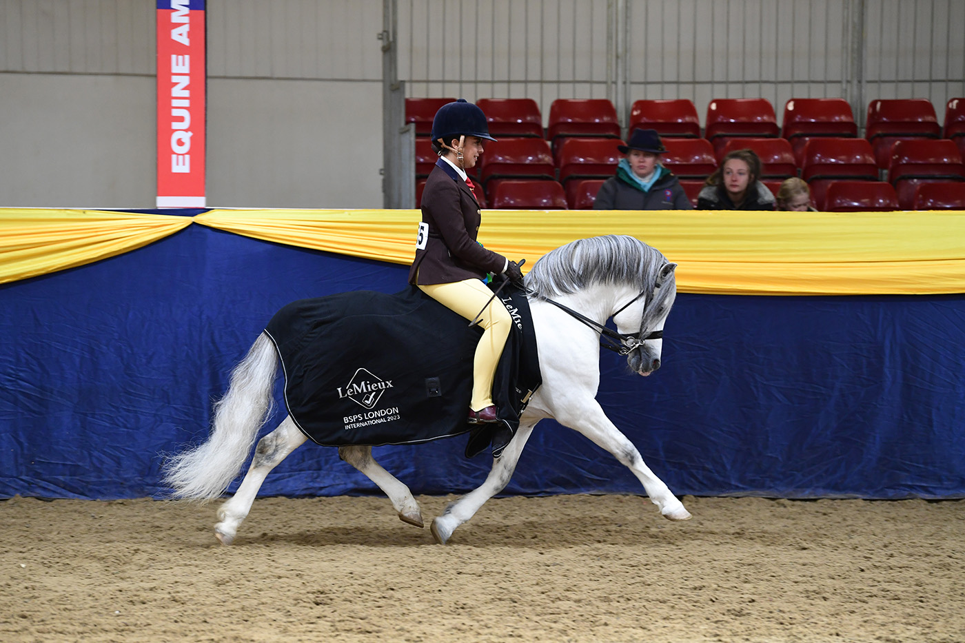 Heritage Show 15.10.2378941