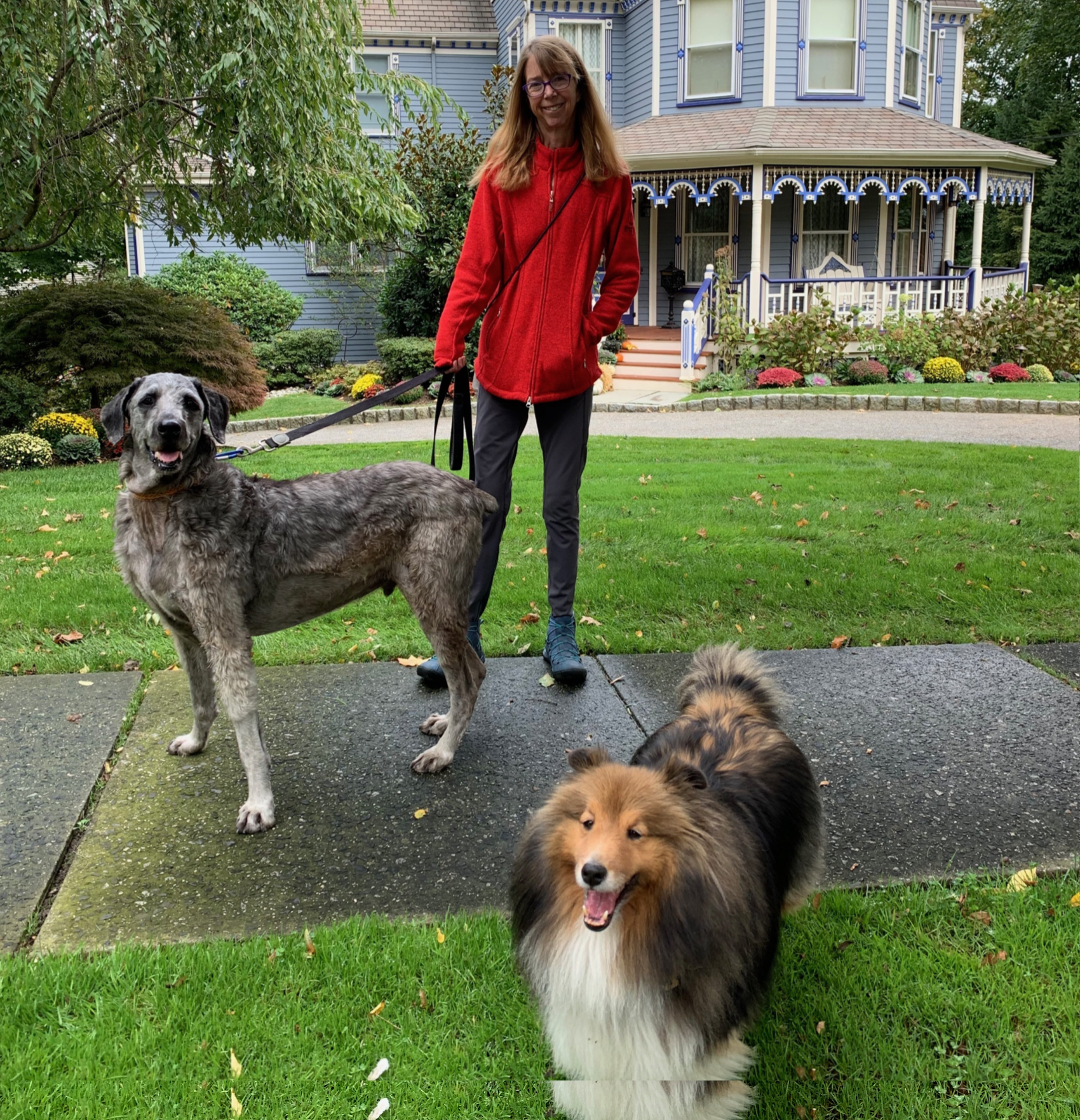 'Elton, in 2019, with canine pal Jasper and her parents’ dog Cailou, along their daily walking route in Elton's hometown of Ridgewood, New Jersey.