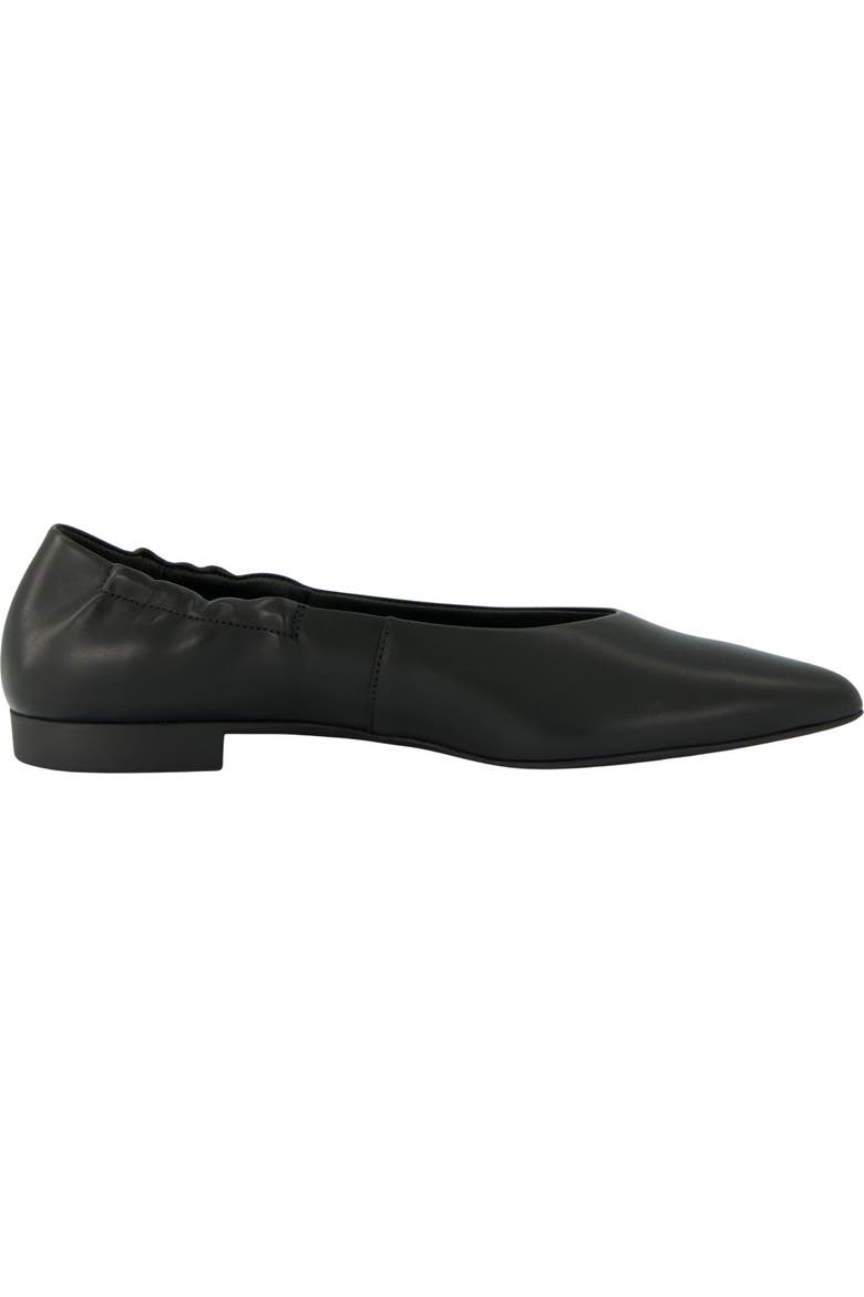 Elly Pointed Toe Flat