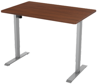 Flexispot Adjustable Desk
