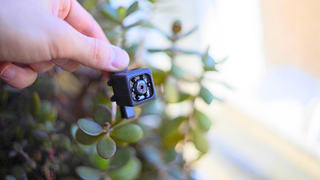 a hidden camera held by a person in front of some plants