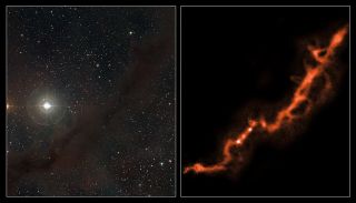 These two images are of the same part of the Taurus Molecular Cloud, about 450 light-years from Earth. Its relative closeness makes it an ideal place to study the formation of stars. The dramatic comparison shows how clouds of cosmic dust grains appear dark and obscuring when observed with visible light (left image), but are seen to glow when observed with light of wavelengths around one millimeter (right image). The observations on the right were made with the LABOCA camera on the APEX telescope. The upper-right part of the dusty filament shown here is known as Barnard 211, while the lower-left part is Barnard 213. Image released Feb. 15, 2012.