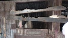 Metcalf-case-thumbnail.jpg