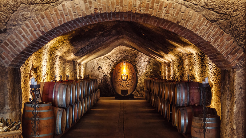 The caves of Buena Vista winery