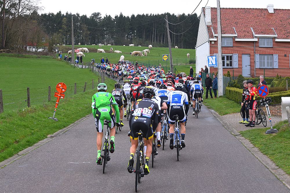 The Brabantse PIjl