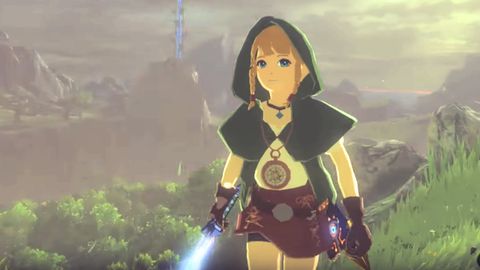 Play as Linkle (AKA female Link) in Legend of Zelda: Breath of the Wild