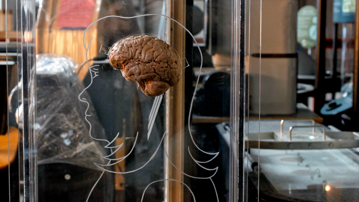 The 'sweet spot' of overconfidence — project a bit to be perceived as competent, but don't be 'too seduced,' a cognitive neuroscientist explains in a Q&A