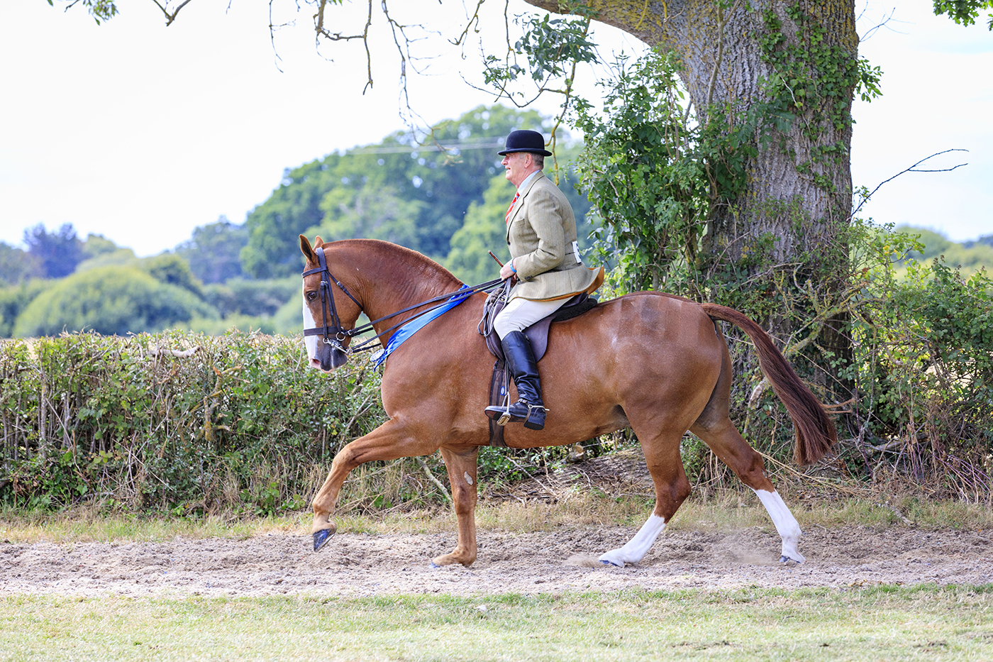 Hickstead Saturday 30th July