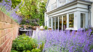 lavender in sunken garden of new england style house