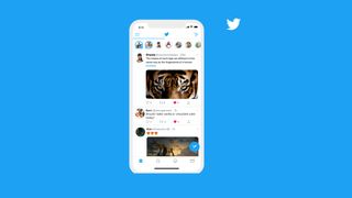 Twitter's Fleet feature showing on an iPhone