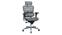 Product shot of Raynor Ergohuman, one of the best office chairs for back pain