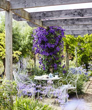 A garden pergola with a bistro set and hanging plant