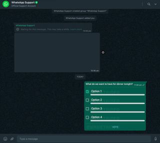 Whatsapp Desktop Group Poll Screenshot