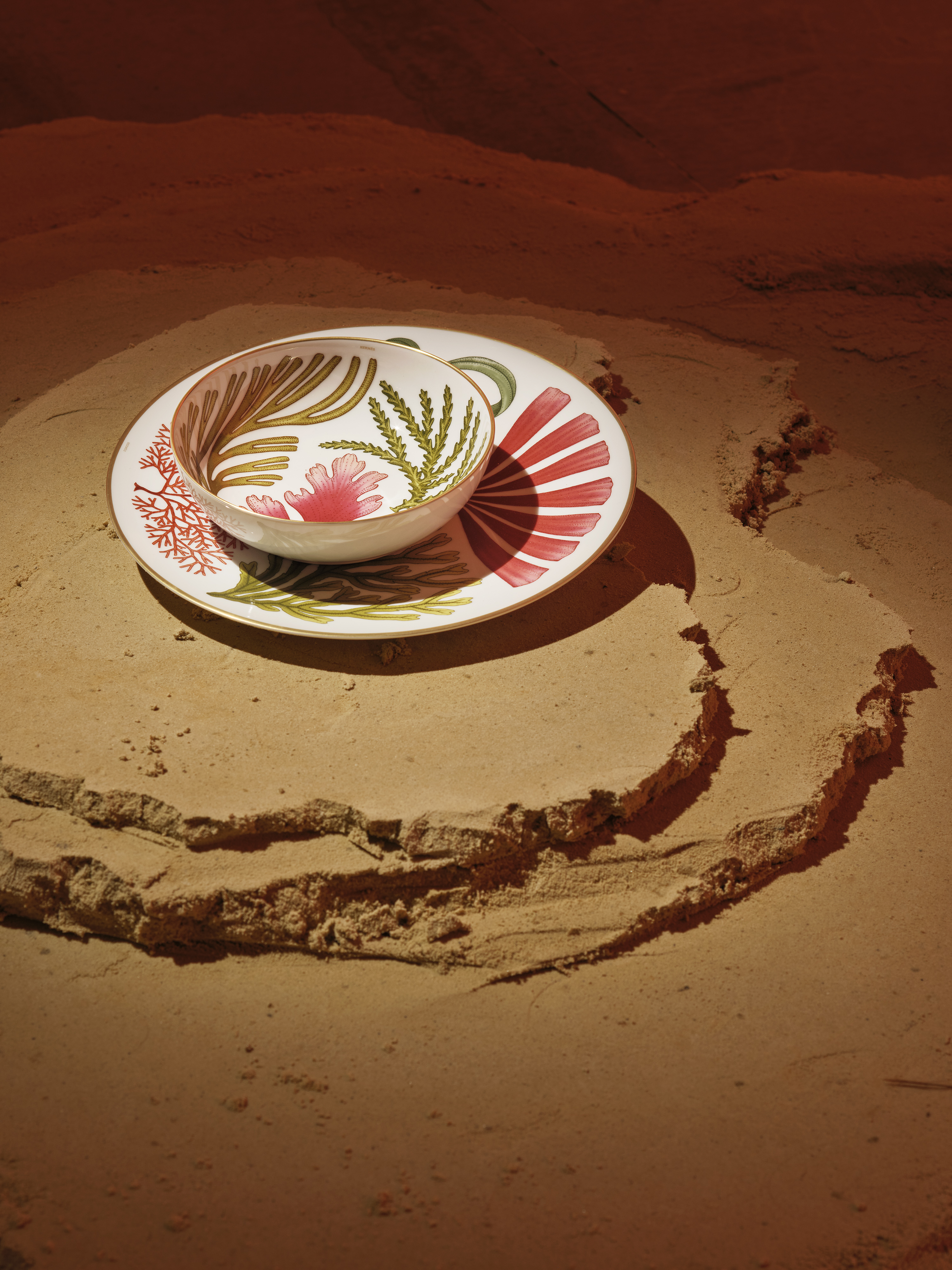 Hermes Tableware with botanical marine illustrations