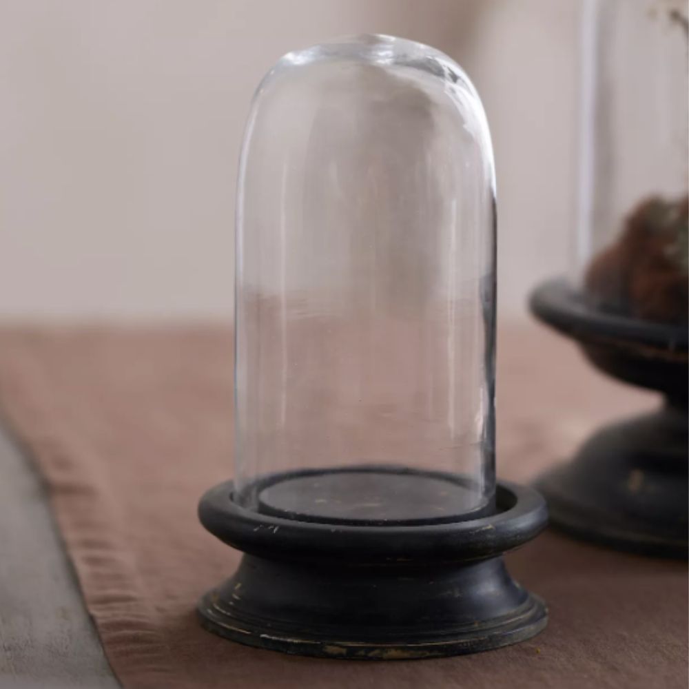 glass cloche with dark wooden base