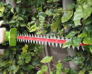close up of the blades on a cordless hedge trimmer