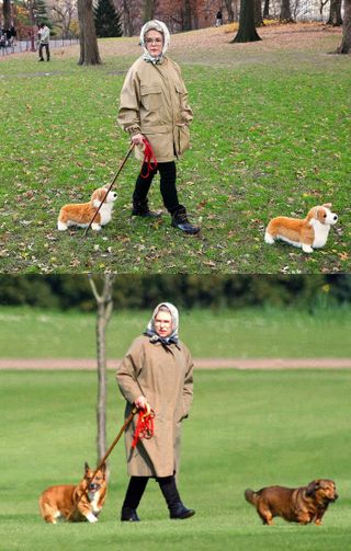 Living like the Queen and her corgis