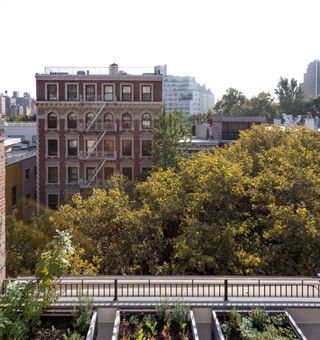 new york roof garden with skyline views over vegetable patches