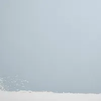 The Early Stuff Paint Sample | From $3 on Backdrop