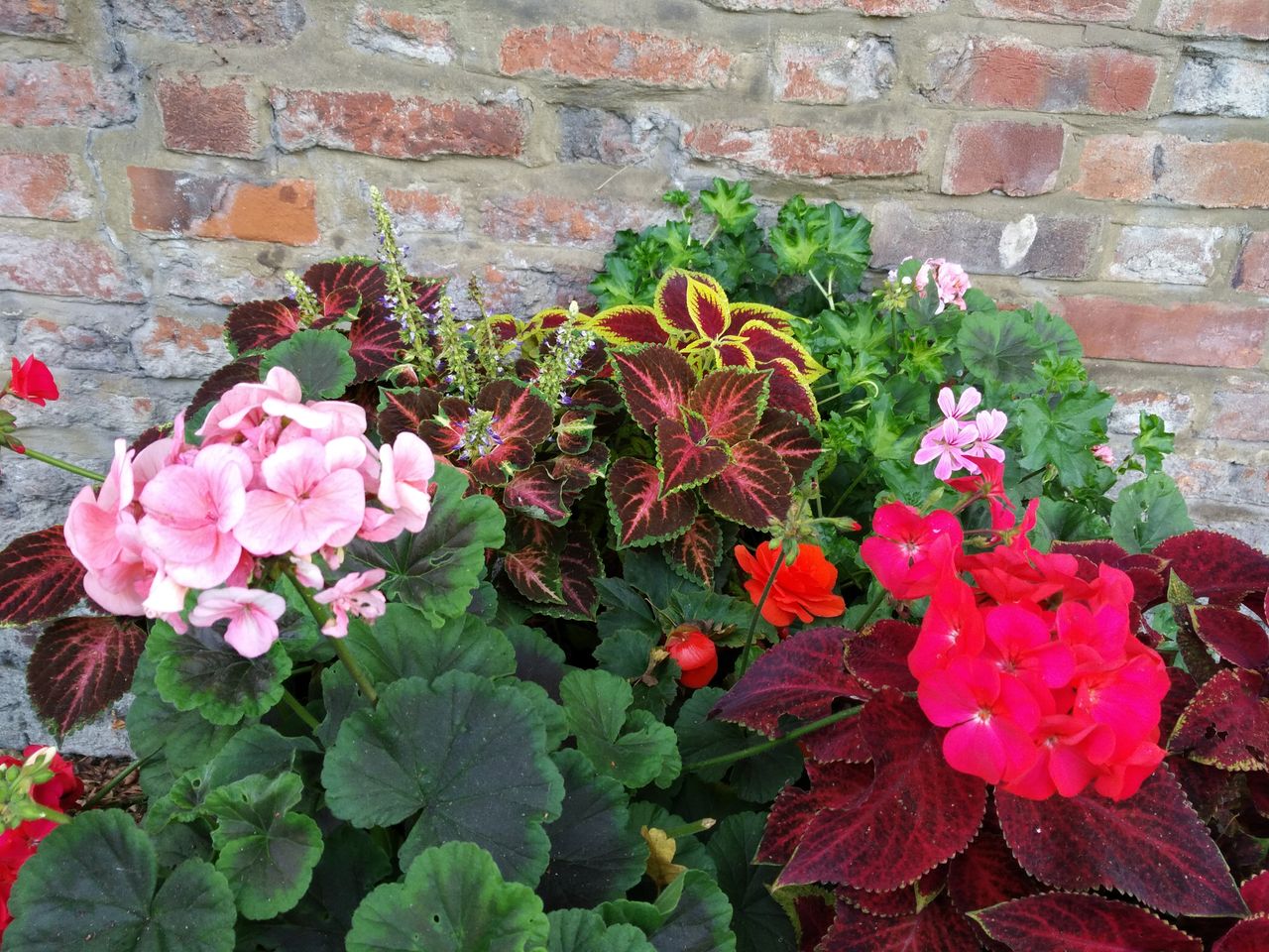 The central, muted flowers look great, but those bright flowers at the edge look weird.