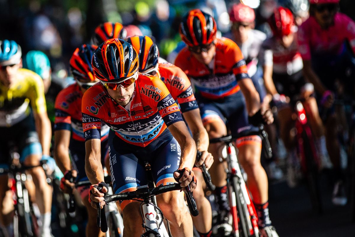 Nippo-Vini Fantini-Faizane ride to set-up Canola