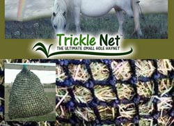 trickle-net.jpg
