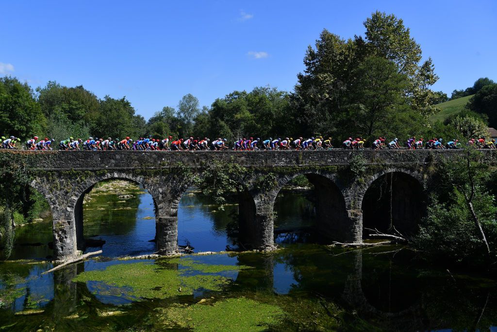 The peloton on stage 11