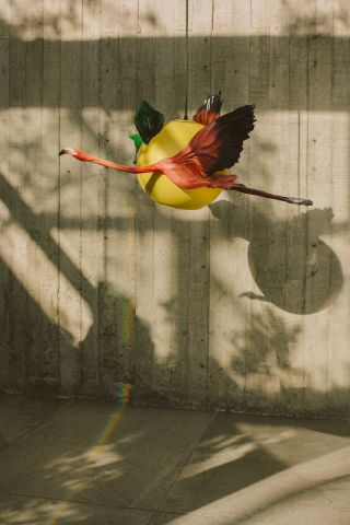 A pendant lamp featuring a yellow sphere and a reproduction of a flying flamingo