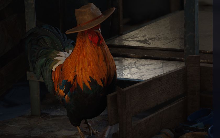Arc Raiders cat bed location: A close-up of Scrappy the rooster wearing a cowboy hat, standing next to a wooden crate.
