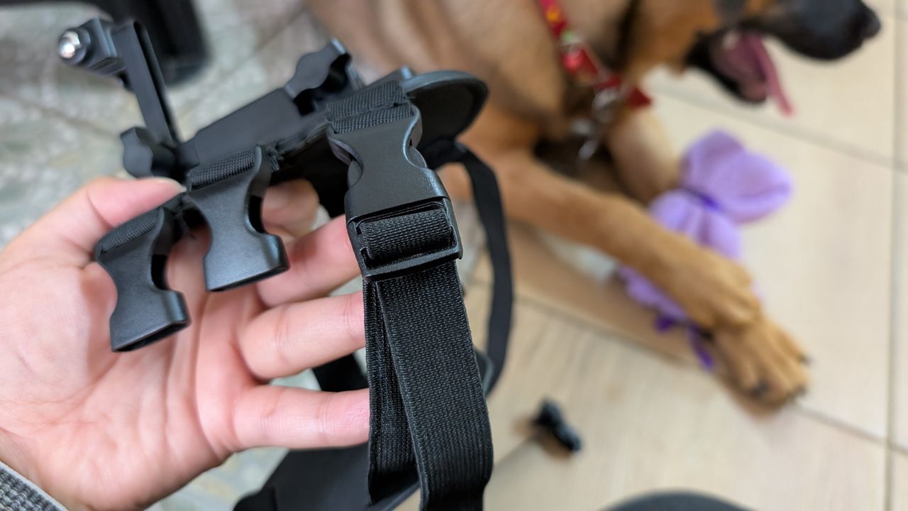 Enabot ROLA PetTracker