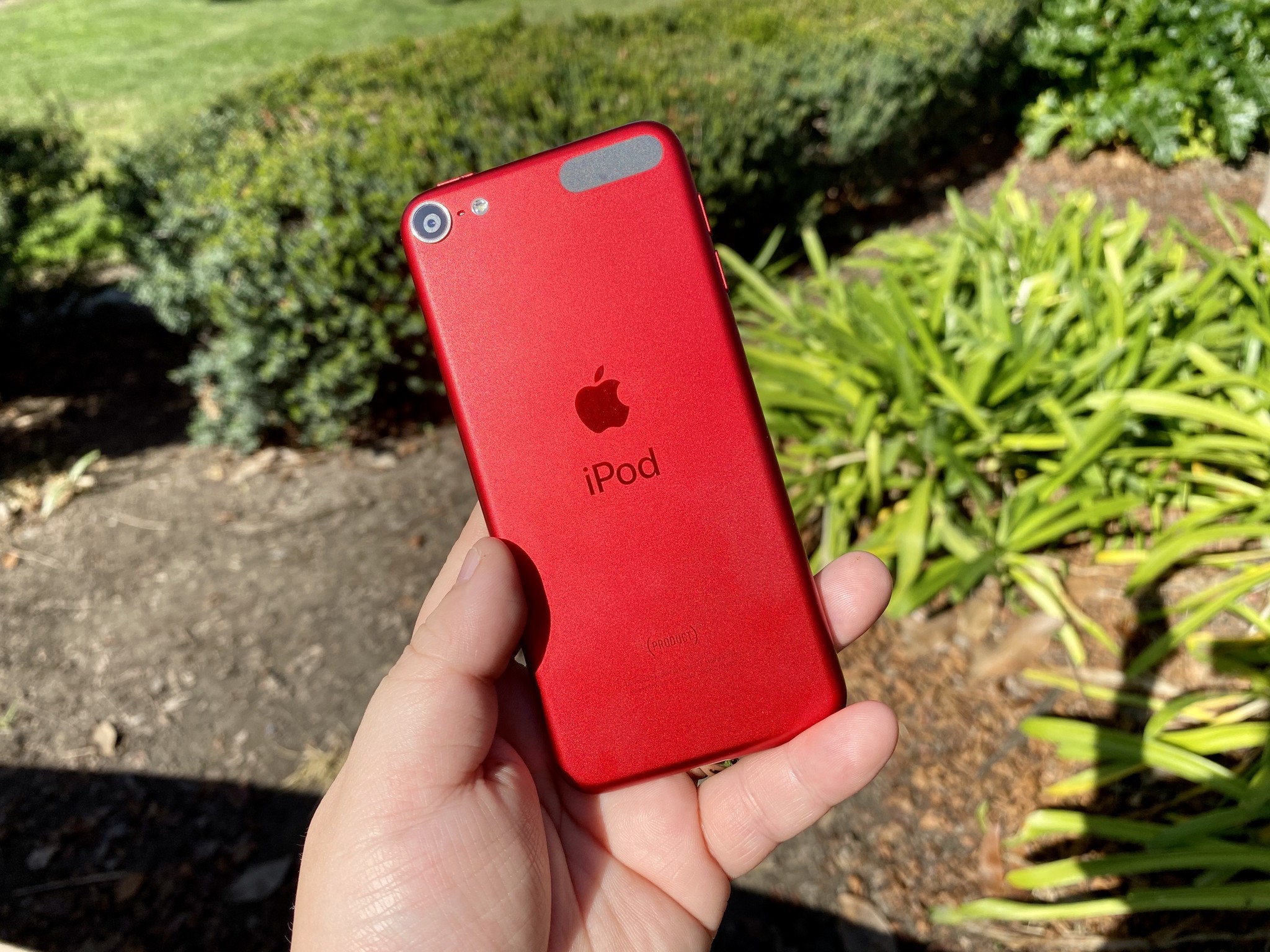 What colors does the iPod touch 7 come in?