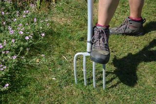 aerating lawn with garden fork