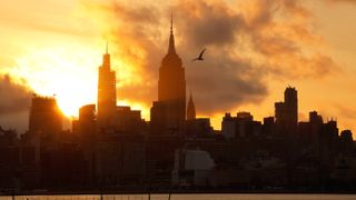 Sun rises above new york city skyline on summer solstice, with a bird flying above. 