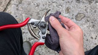 Cleaning a Felco 6 bypass pruner using an old sock