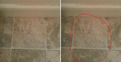 Image of Donald Trump in Virginia man's bathroom floor tile