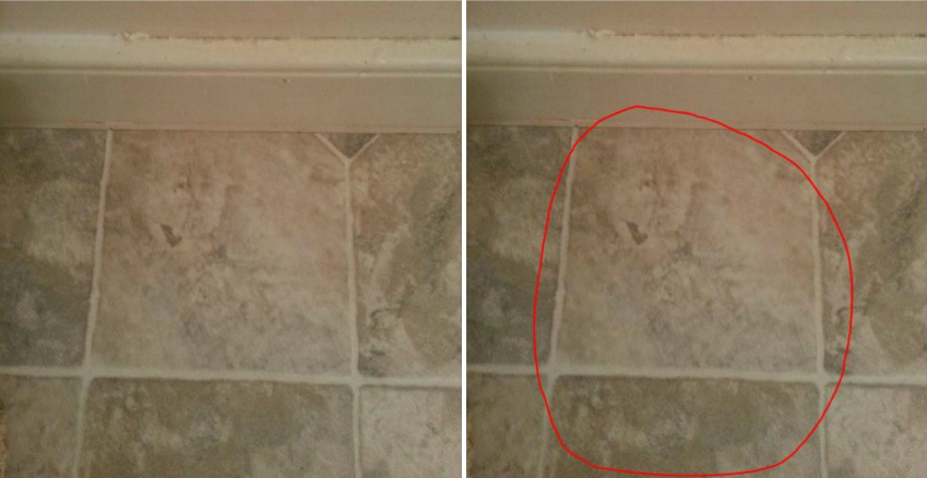 Image of Donald Trump in Virginia man&amp;#039;s bathroom floor tile