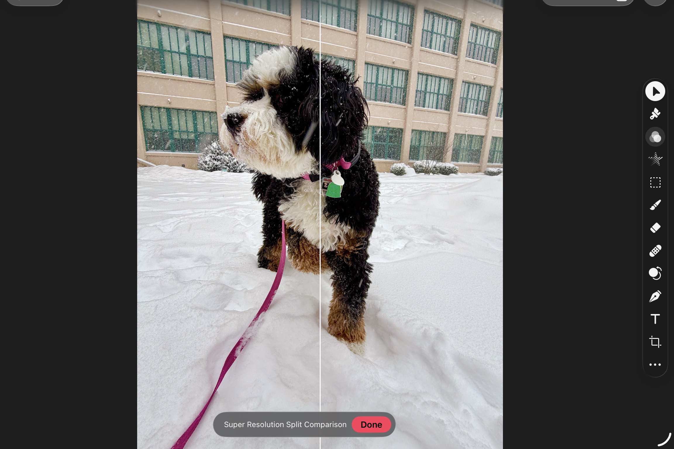 Pixelmator Pro on iPad, Apple Creator Studio