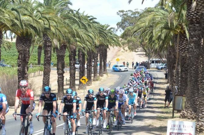 The peloton on stage 1 of the 2014 Tour Down Under.