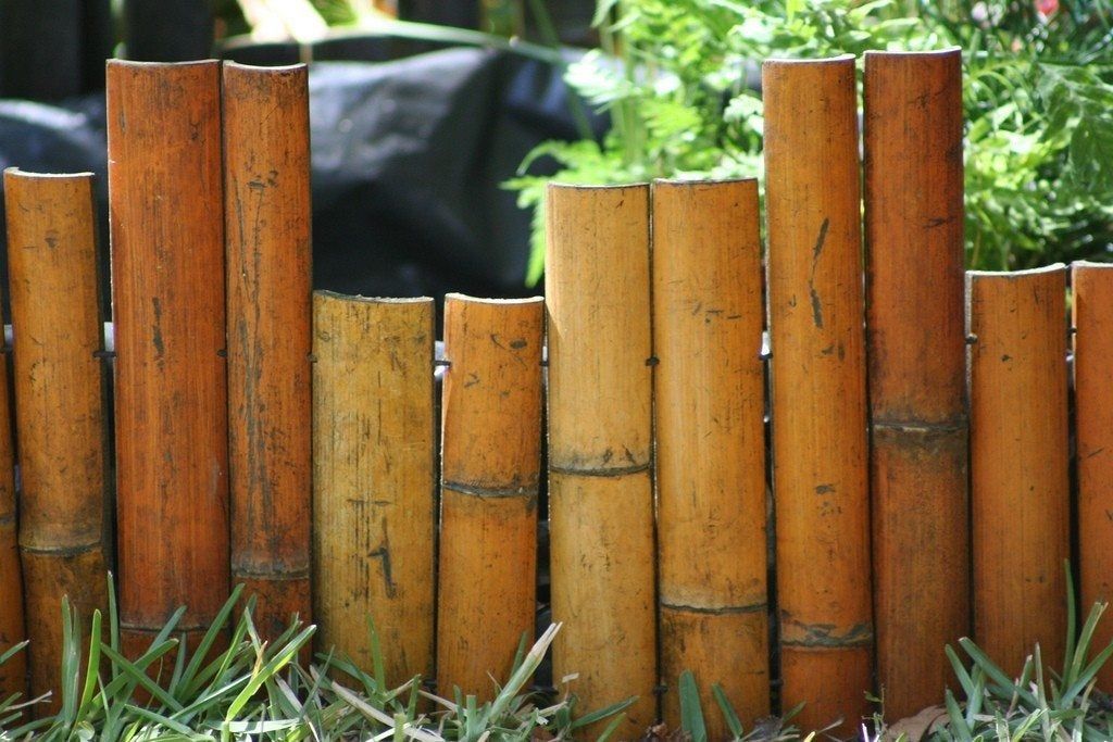 Bamboo Wall Garden Border