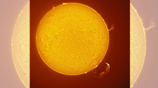 A large solar prominence (bottom right) bursts from the sun while a plasma tornado (top right) rages nearby