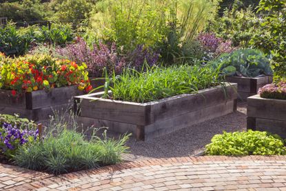 A garden with raised vegetable and flower beds