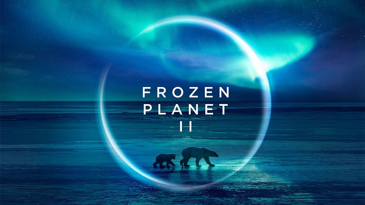 How to watch Frozen Planet 2 stream online from anywhere in the