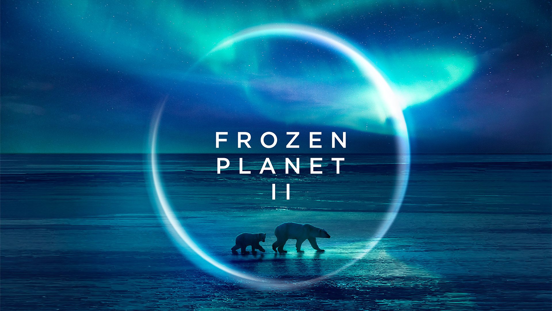 How to watch Frozen Planet 2: stream online from anywhere in the world |  Live Science