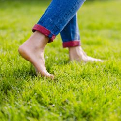 How to Apply Lawn Sand to Fix Heavy Soil and Improve Drainage ...